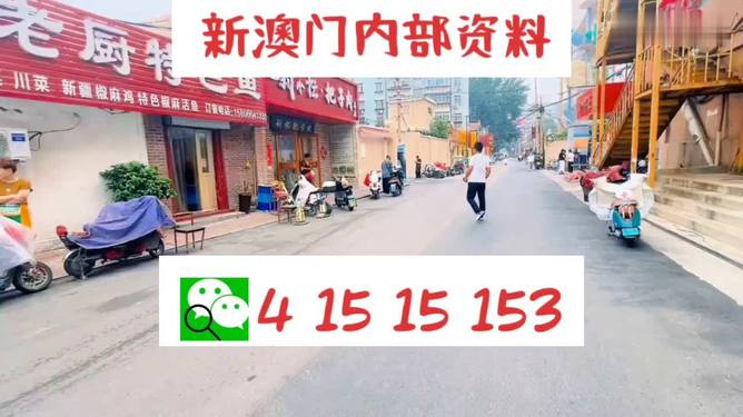 2024新澳天天免费资料大全-精选解释解析落实