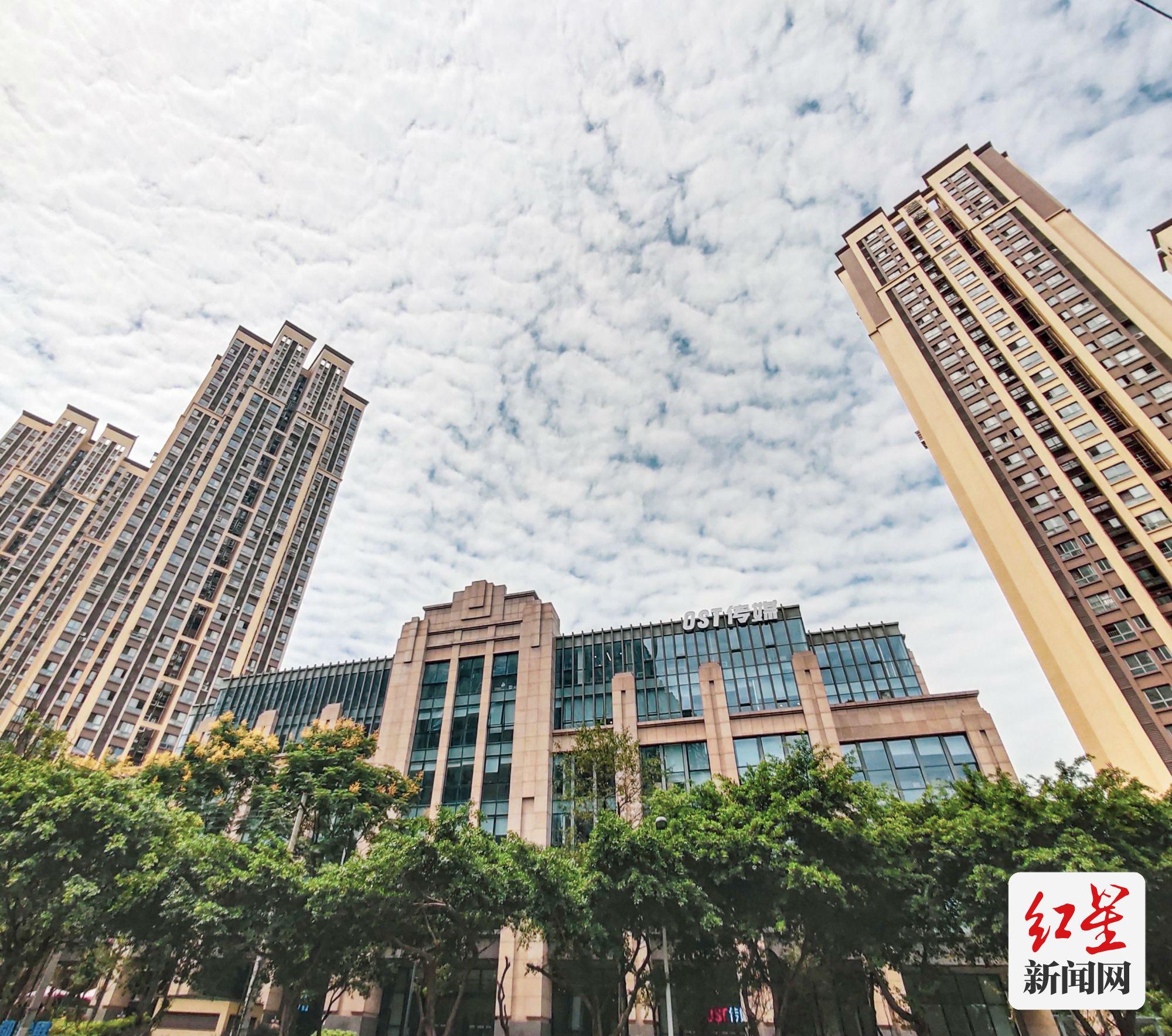 快手-W大手笔！1月8日耗资2700万回购67万股引关注